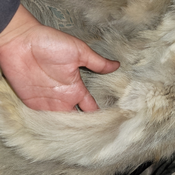 ❌SOLD❌Art deco Vintage Jacques Saint Laurent For Fur-instance Floor Length Coat❌ - Picture 4 of 8